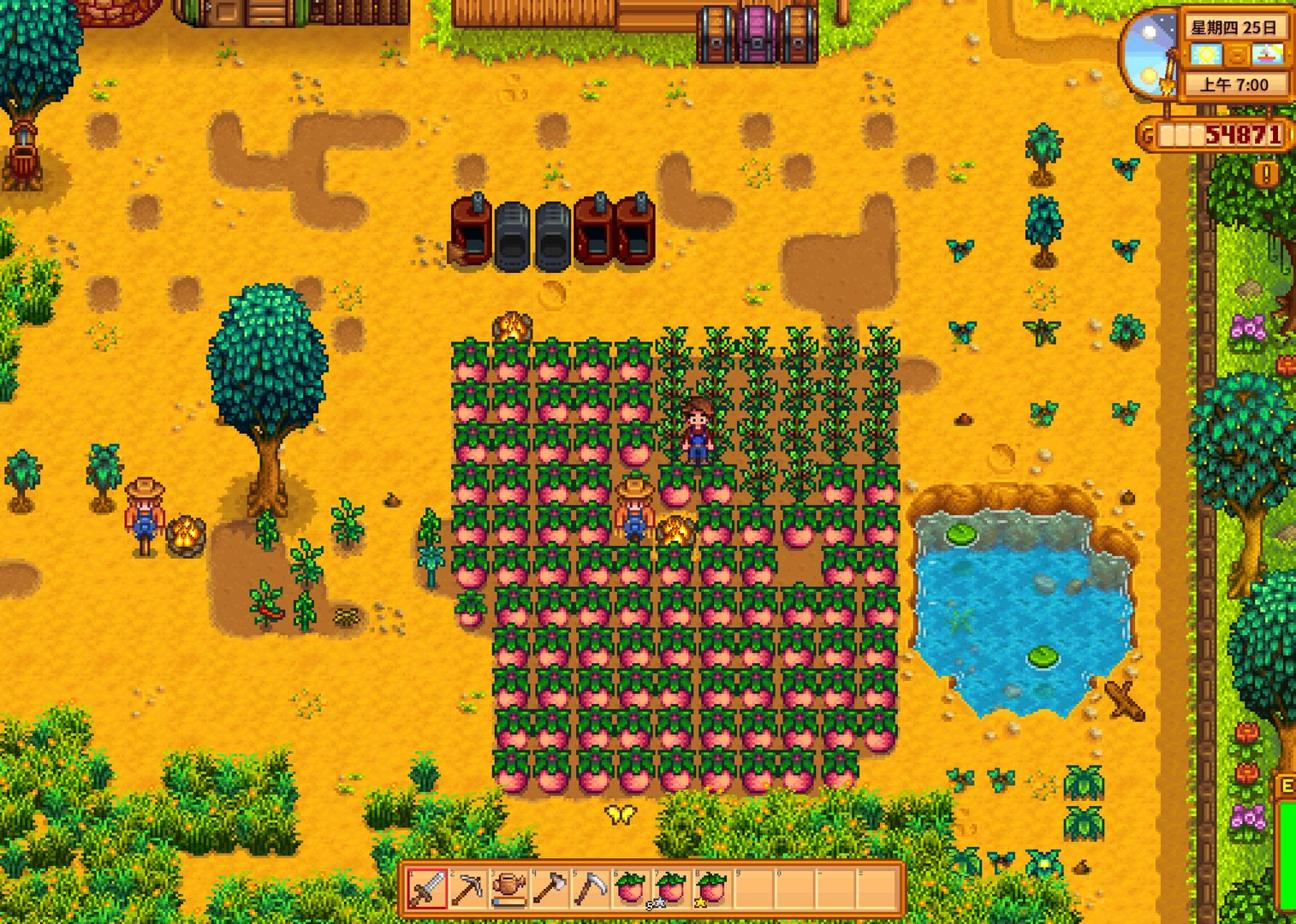 空洞骑士 重制版 截图16