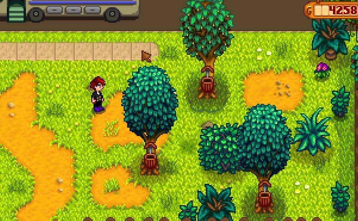 魔兽世界 截图2