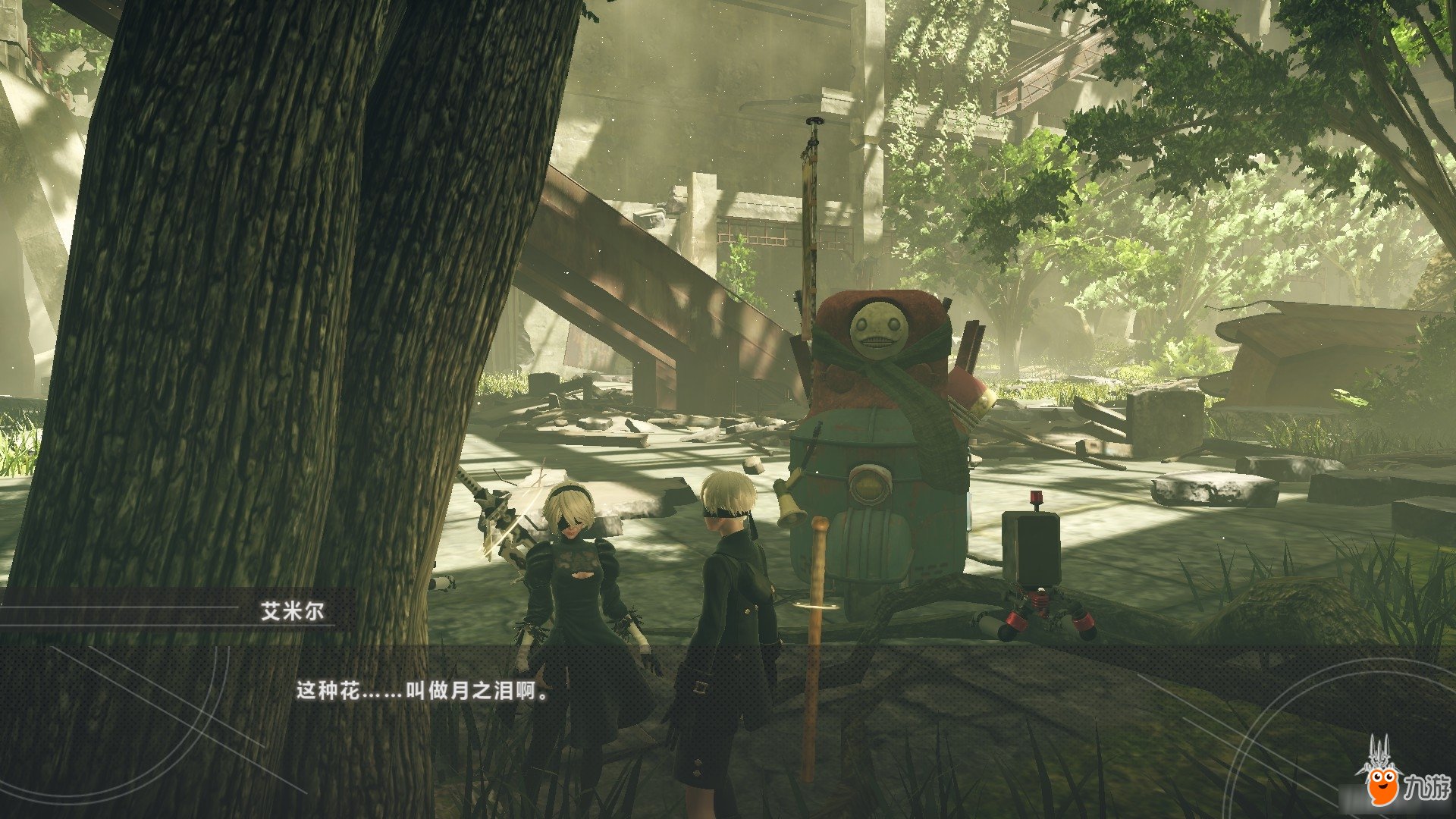 魔兽世界 截图5