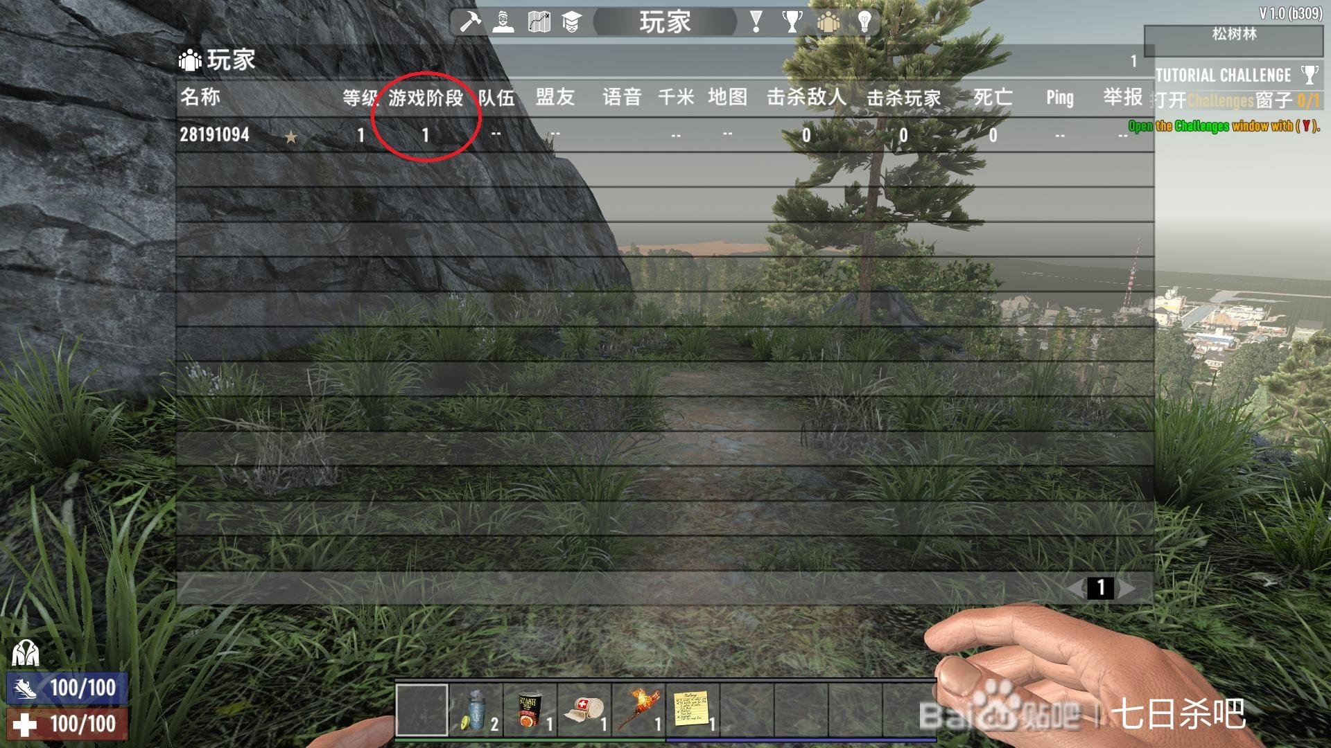 饥荒 年度版 截图3