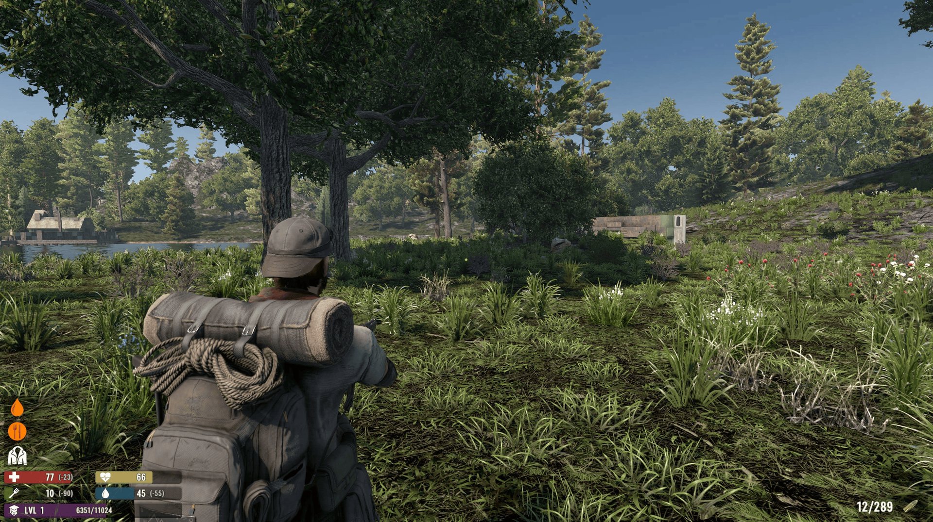 空洞骑士 重制版 截图4