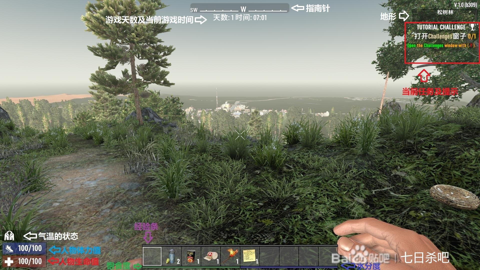 空洞骑士 重制版 截图13